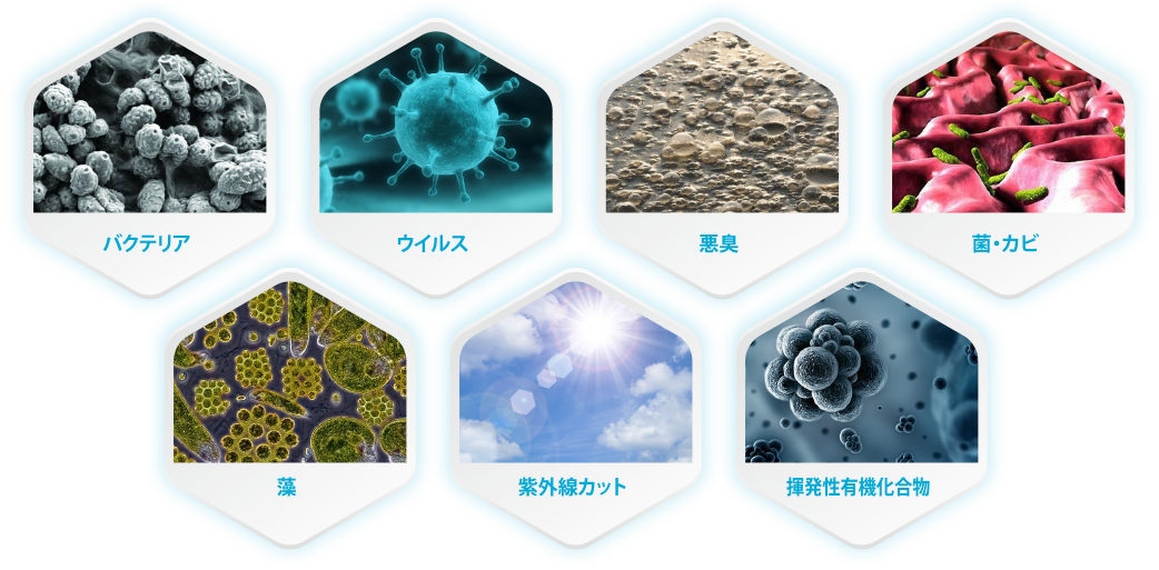 分解対象となる有機物